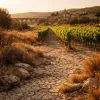 Voyager en Occitanie quand il fait 40 degrés : la canicule redessine la carte