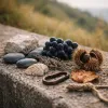 Trois idées de week end nature en Occitanie pour un road trip de courts séjours