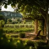La grande sieste à Aniane : un art de vivre œnotouristique en Occitanie