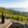 Voyager sur la Côte Vermeille : l’élégance d’un vin de Collioure rouge face à la Méditerranée